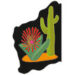 Cactus and Succulent Society of Western Australia