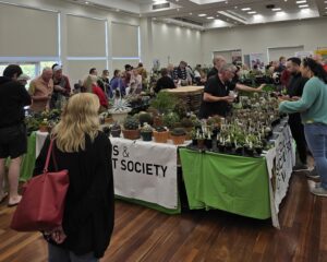 Garden clubs and societies plant fair